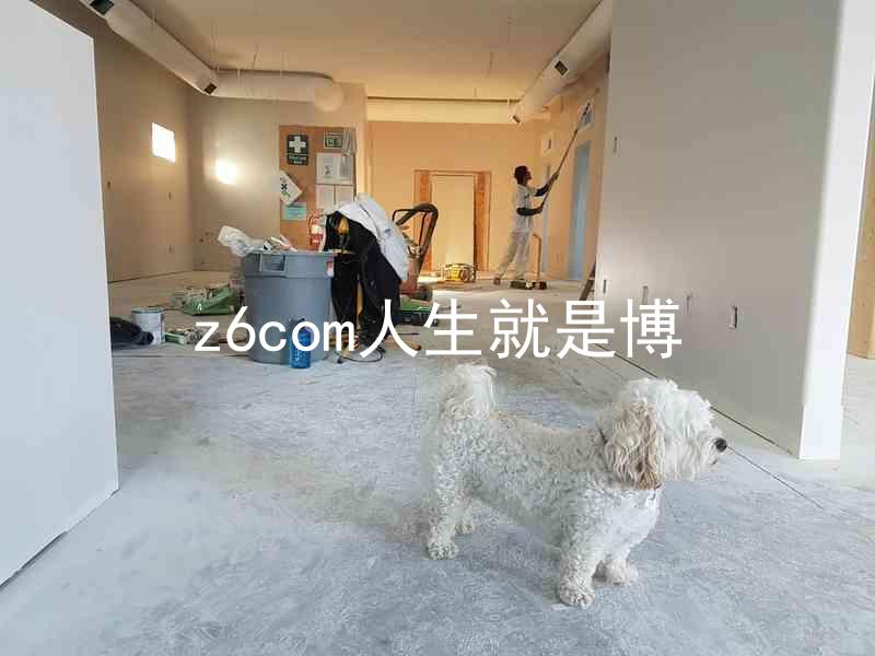 z6com人生就是博